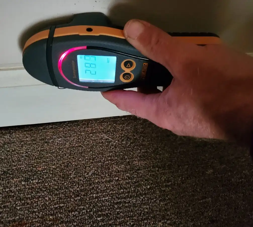 Moisture detection at baseboard during Sewage Cleanup & Sanitation in Weston